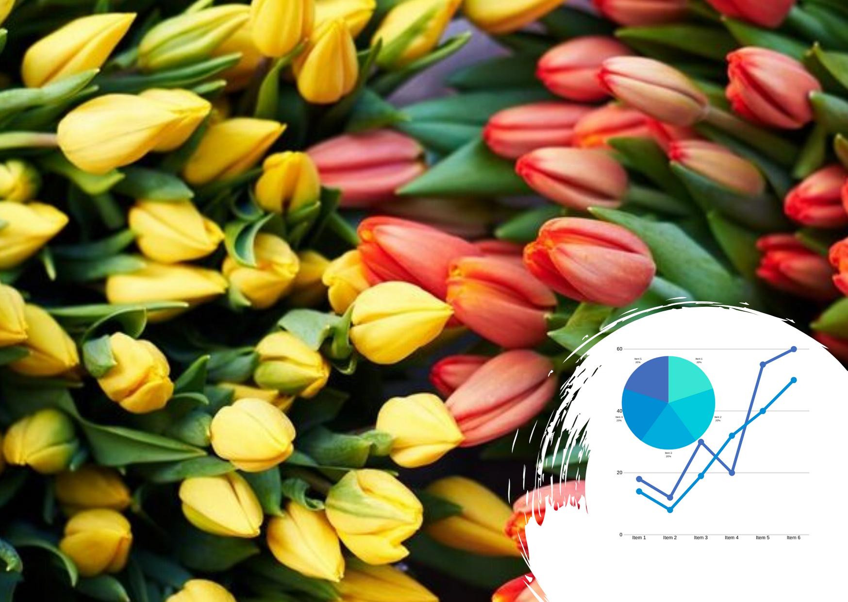 Аналіз ринку квітів в Україні: які квіти купують частіше і на які свята